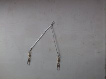 Dual Fishing rig